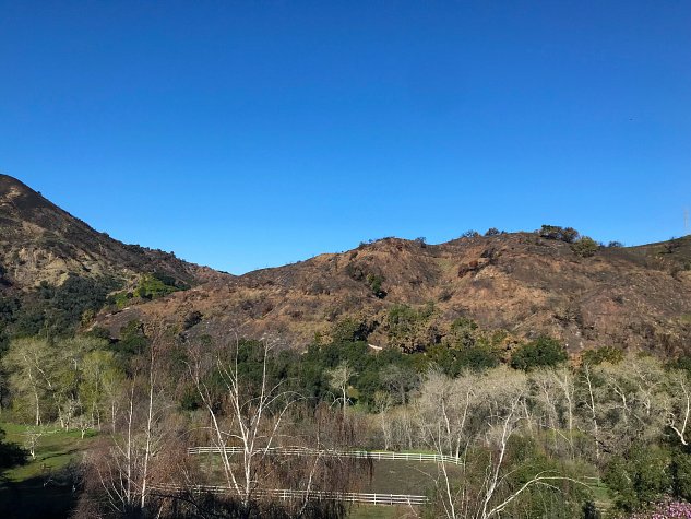 casitascasitasotirioscorpkyledewoody