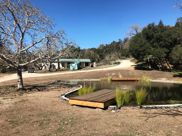 casitascasitasotirioscorpkyledewoody4