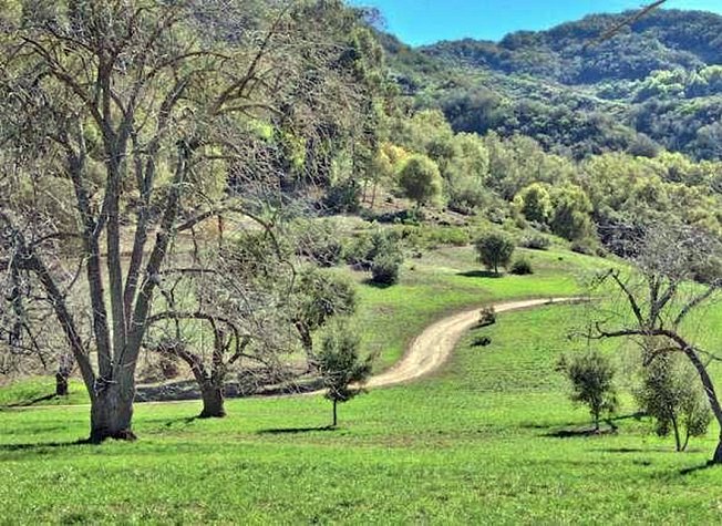 casitascasitasotirioscorpkyledewoodylandscape1