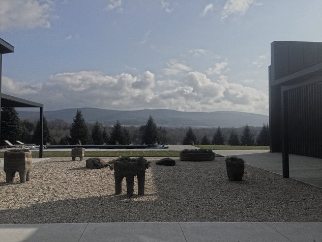 francesca_sotirios_dec2015_6